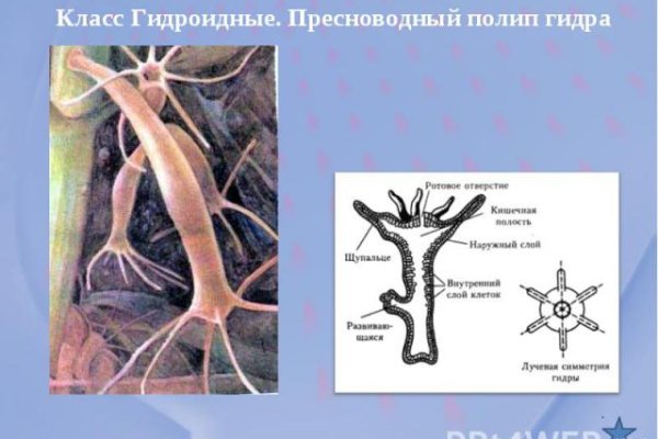 Кракен тор ссылка онлайн