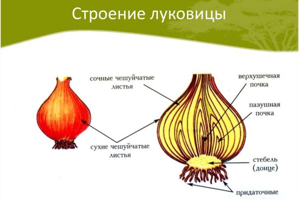 Кракен ссылка призыва нет