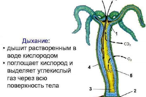 Кракен вход зеркало