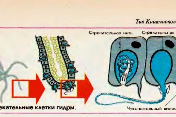 Кракен вход ссылка